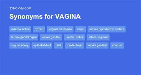 VAGINA Synonyms 